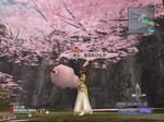 桜の花びらが降る中で